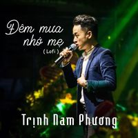 Trịnh Nam Phương - Đêm Mưa Nhớ Mẹ (Lofi)