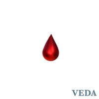 VEDA - Love Like Psycho