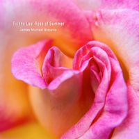 James Michael Stevens - 'Tis the Last Rose of Summer (Piano Solo)