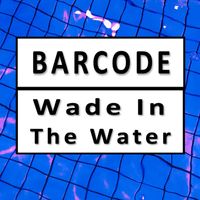 Barcode - Wade in the Water