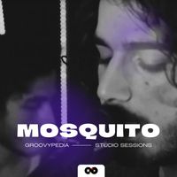 Mosquito - Guns and Candy (Live)