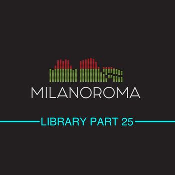 Various Aritists - Library, Pt. 25