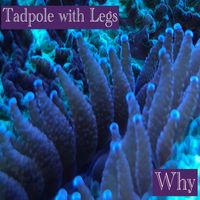 Tadpole with Legs - Why