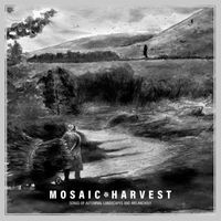Mosaic - Harvest