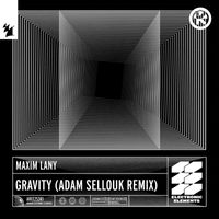 Maxim Lany - Gravity (Adam Sellouk Remix)