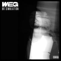 Weg - BR Simulation (Explicit)