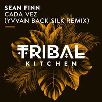 Sean Finn - Cada Vez (Yvvan Back Silk Remix)