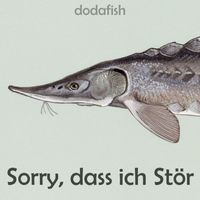 dodafish - Sorry, Dass Ich Stör