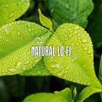 Filos, DJ Freccia - Natural Lo-fi