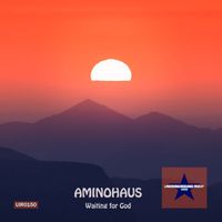 Aminohaus - Waiting for God