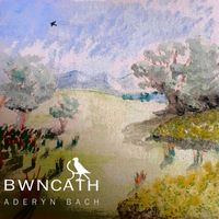Bwncath - Aderyn Bach