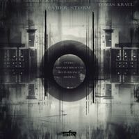 Tomas Kraul - Cyber Storm