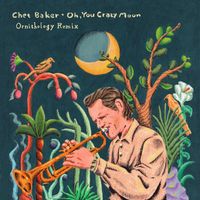 Chet Baker - Oh, You Crazy Moon (Ornithology Remix)