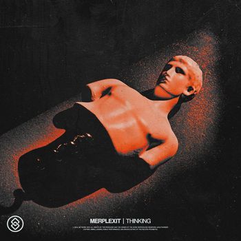 Merplexit - Thinking