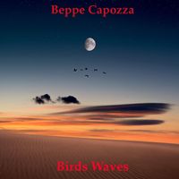 Beppe Capozza - Birds Waves