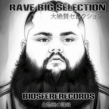 Various Artists - Rave Big Selection