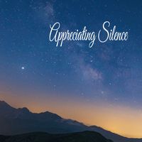 Music For Absolute Sleep - Appreciating Silence