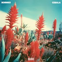 Borneo - Cebala