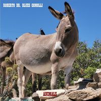 Roberto Dr. Blues Comolli - Animals