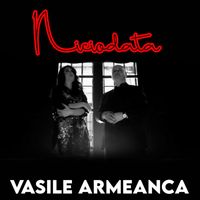 Vasile Armeanca - Niciodata