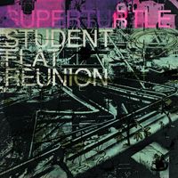 Superturtle - Student Flat Reunion