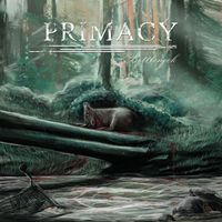 Primacy - Bottleneck
