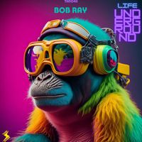 Bob Ray - Life Underground
