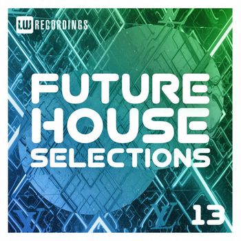 Various Artists - Future House Selections, Vol. 13