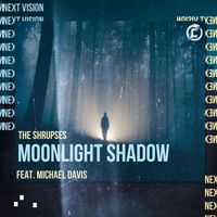 The Shrupses - Moonlight Shadow
