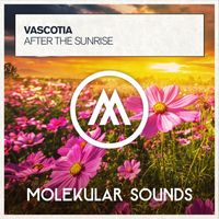 Vascotia - After The Sunrise