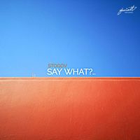 Stogov - Say What?..