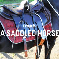 Francis - A saddled horse