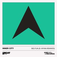 Inner City - Big Fun (D. Wynn Remixes)