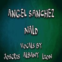 Angel Sanchez - Nald (Explicit)
