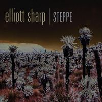 Elliott Sharp - Steppe
