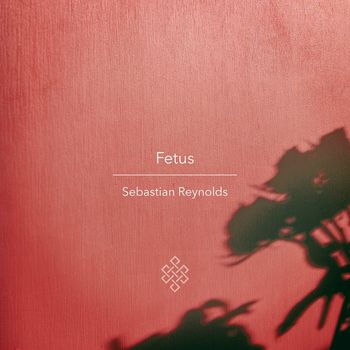 Sebastian Reynolds - Fetus