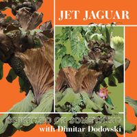 Jet Jaguar feat. Dimitar Dodovski - Counting On Something