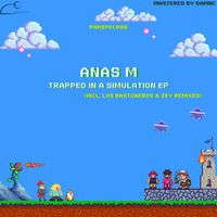 Anas M - Trapped in a simulation (incl. Los Bastoneros & Zky remixes)