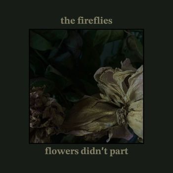 The Fireflies - Flowers Didn't Part