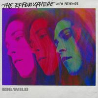 Big Wild - The Efferusphere With Friends