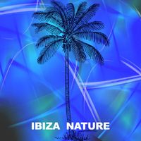 Ibiza Son - Sound Transition