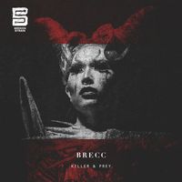 Brecc - Disturbing the Piece