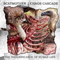 Scatmother - The Insignificance Of Human Life (Explicit)