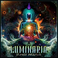 Luminaria - Plexus Solarium