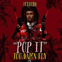 Icebird - Pop It (Explicit)