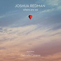 Joshua Redman - Chicago Blues