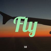 SjD - Fly, Pt. 1