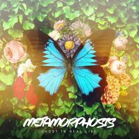Ghost in Real Life - Metamorphosis