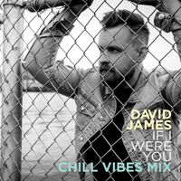 David James - If I Were You (Chill Vibes Mix)