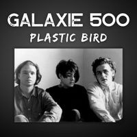 Galaxie 500 - Plastic Bird